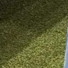 Profile image of 우치하 사스케