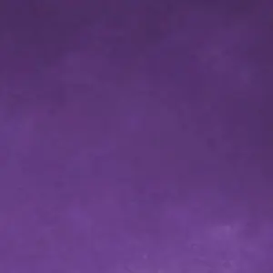 Profile image of 수현