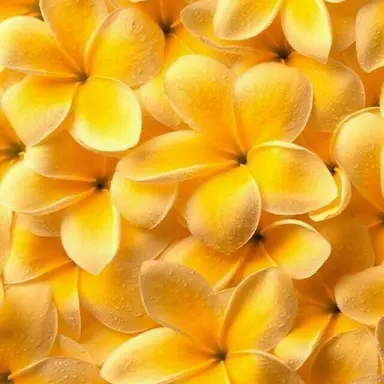 Profile image of 김준엽