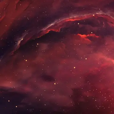 Profile image of 라더