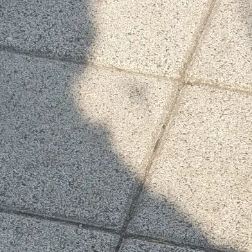 Whothere의 한동민