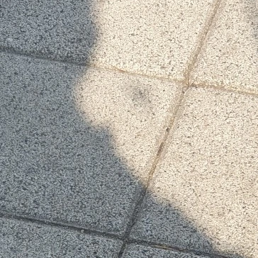 정동민