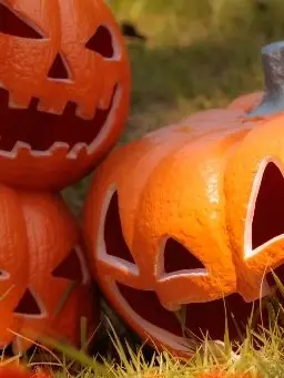 gasharpoon의 🎃⋆˚✦
