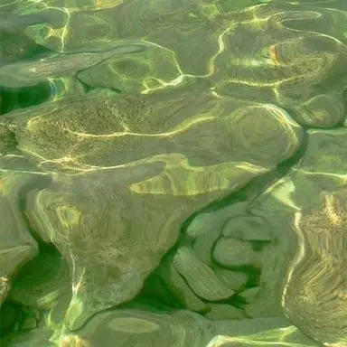 Profile image of 오뉴