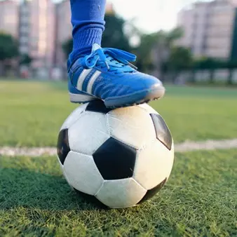 Profile image of FC모바일 회사