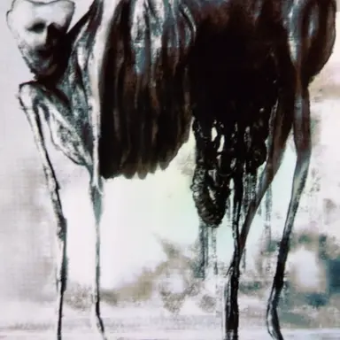 Profile image of ザ・ブレステッド