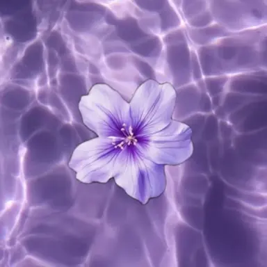 Profile image of 안수연