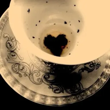 Profile image of 박도현