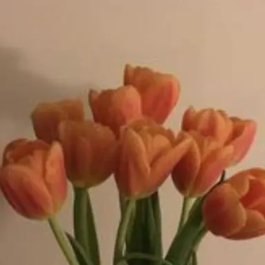 Profile image of 덕개