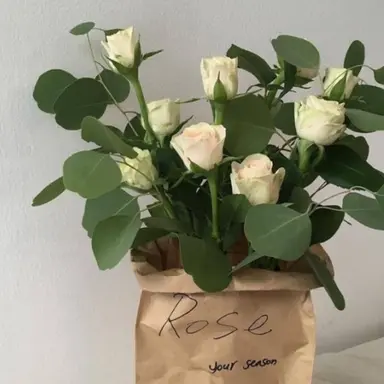 Profile image of 공룡