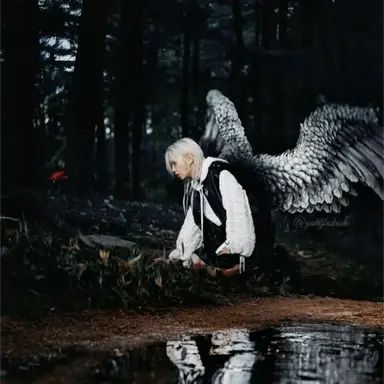 Profile image of Felix