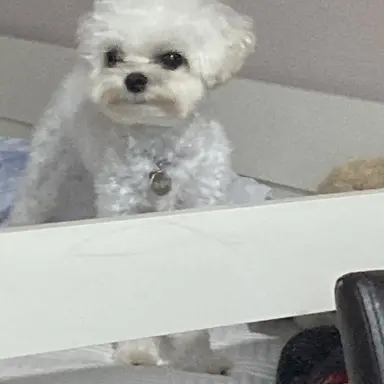 Profile image of 박윤재