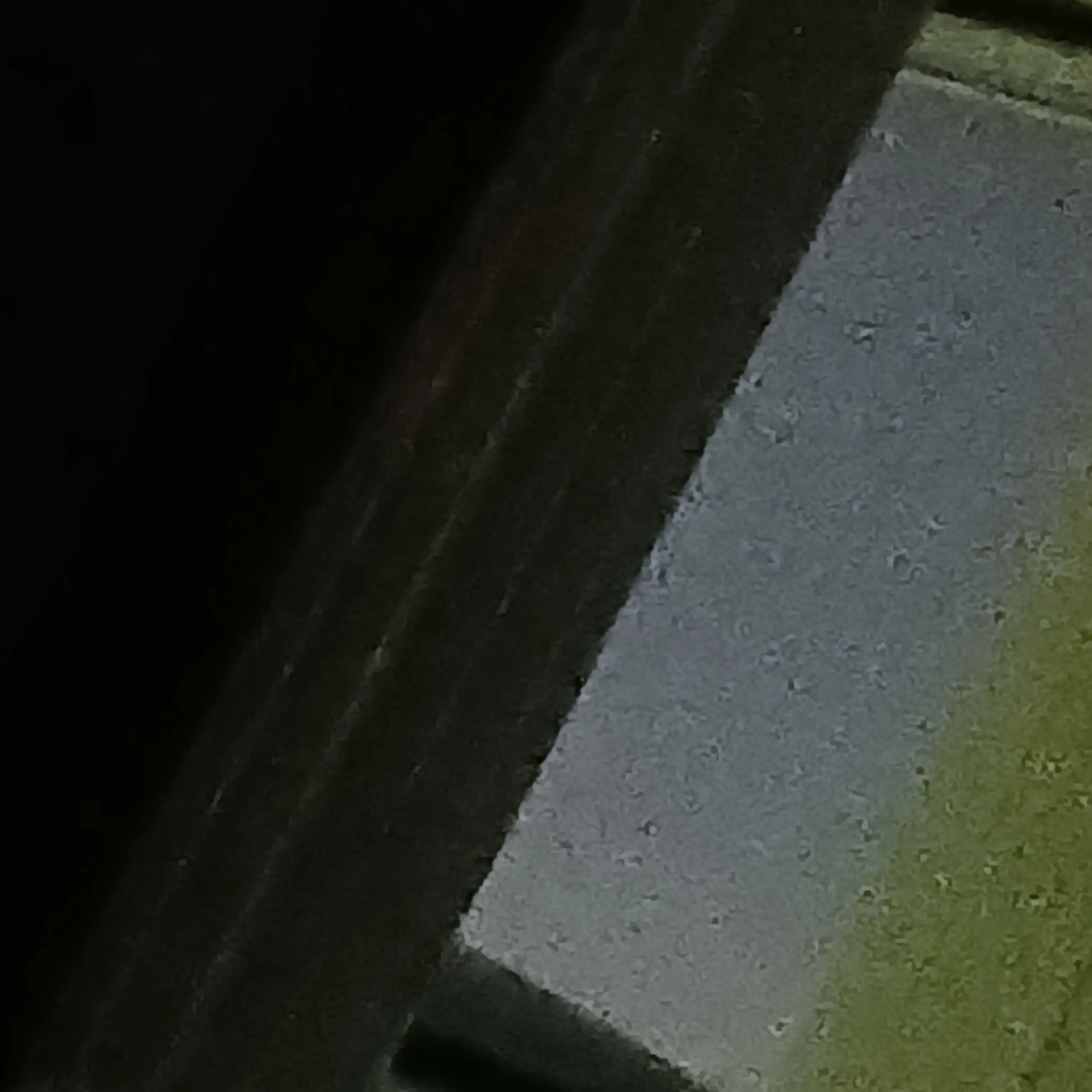 EggyFrond2382의 {{user}}? 저희 연구소장님이죠