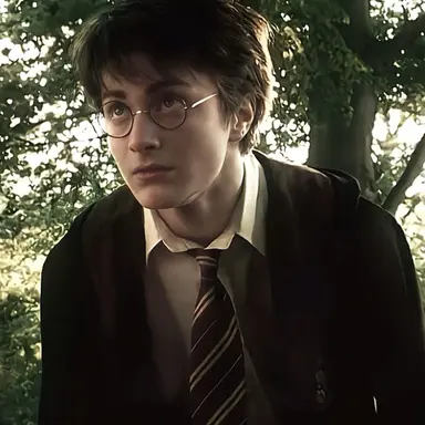 Profile image of Harry Potter