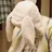 토쿠노 유우시