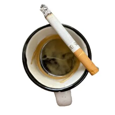 Profile image of テ・ジンゴン