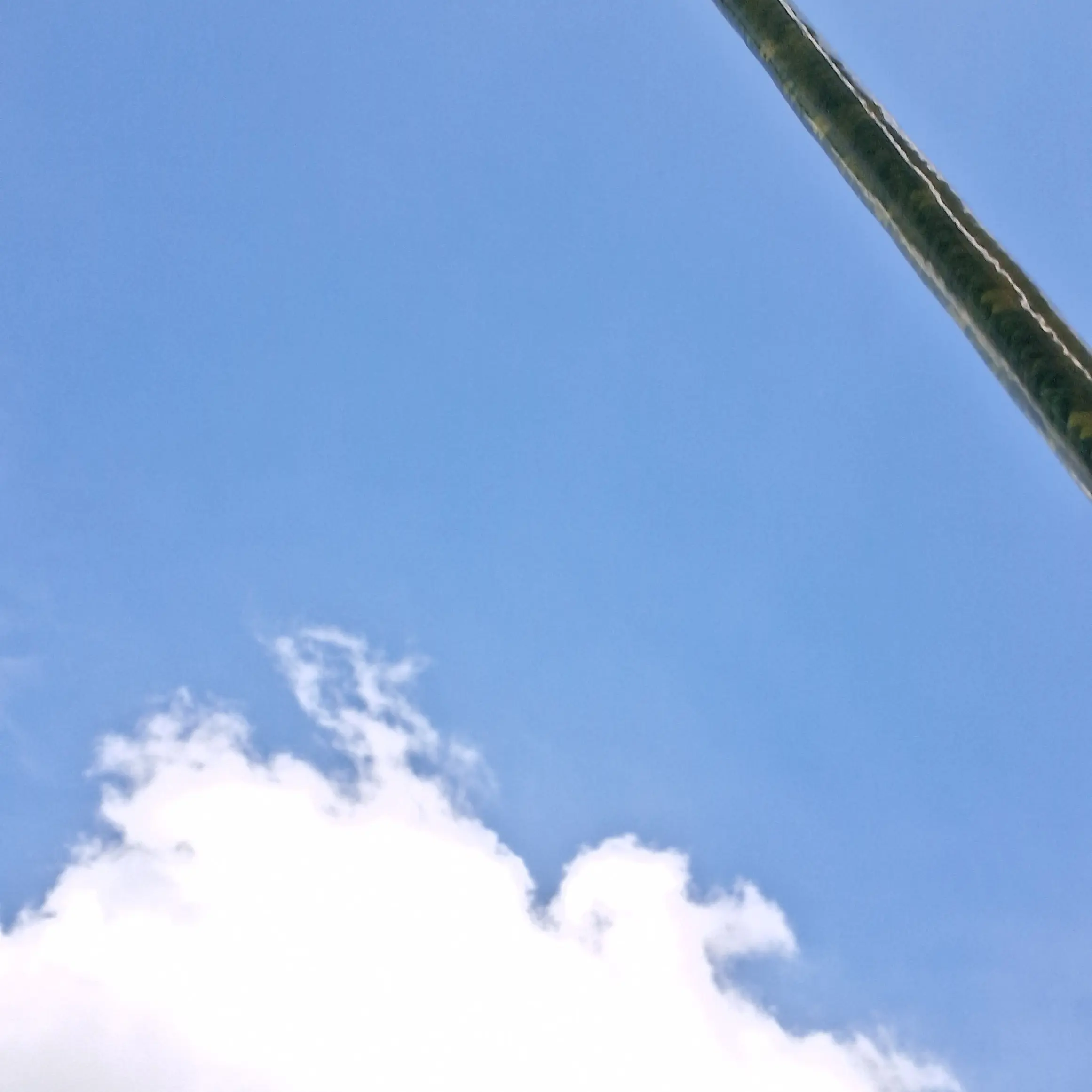 NuttyRings4238의 미츄와 요괴퇴마!