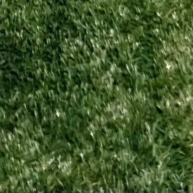 Profile image of 금지된 숲