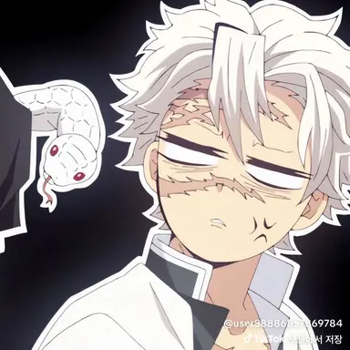 Profile image of 시나즈가와 사네미