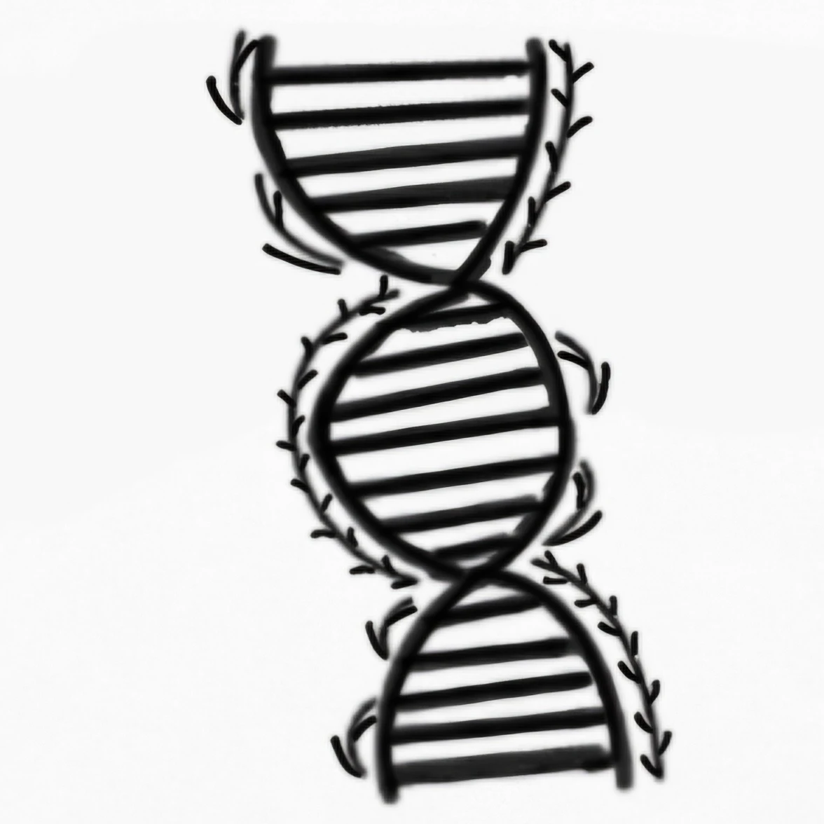 다크DNA