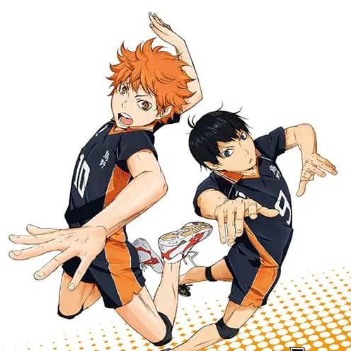yukidarumatukuro의 日向翔陽＆影山飛雄