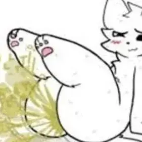 Profile image of Felix