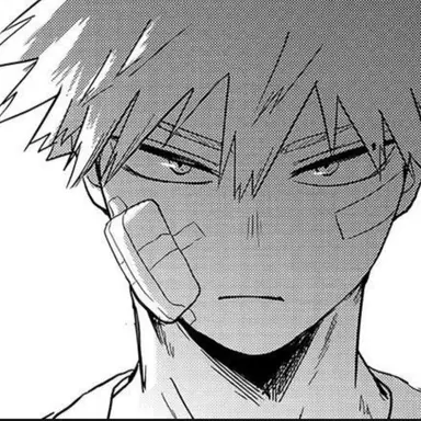 Profile image of 爆豪勝己