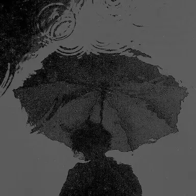 Profile image of 적운터