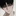 박도윤