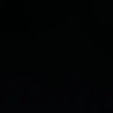 Profile image of 김선우