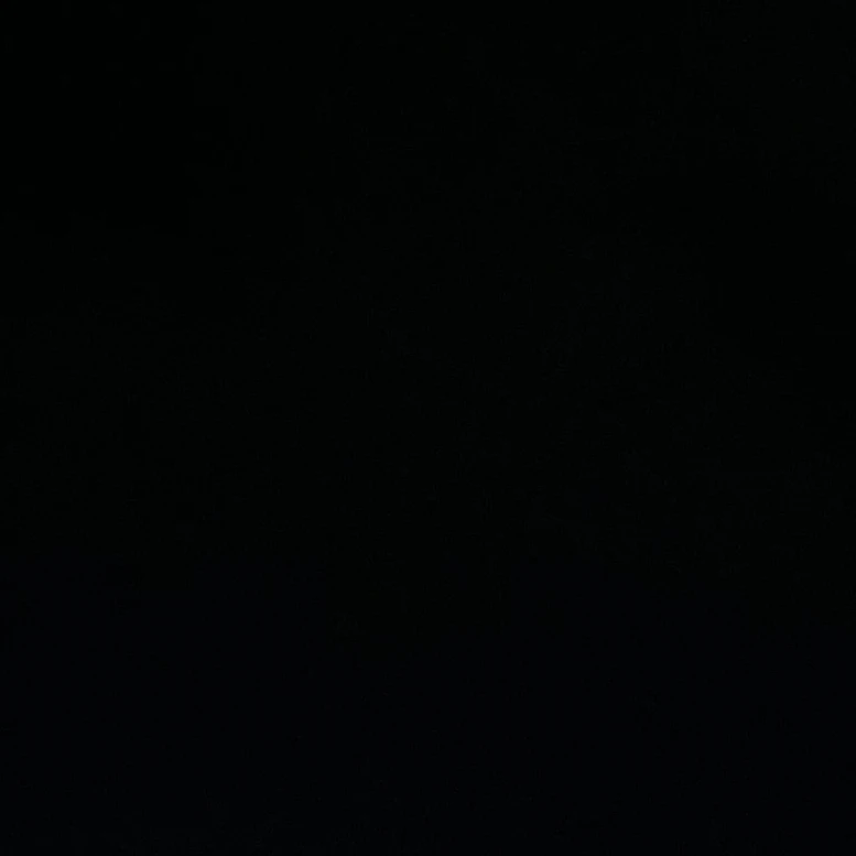 김선우