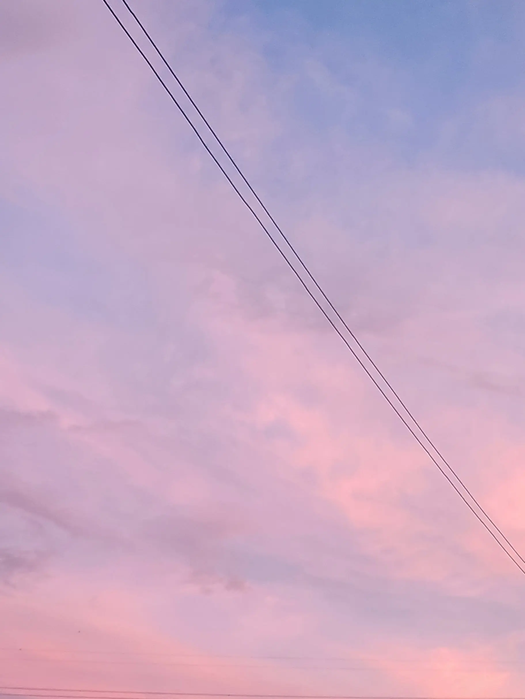 1500_sea의 ㅤ