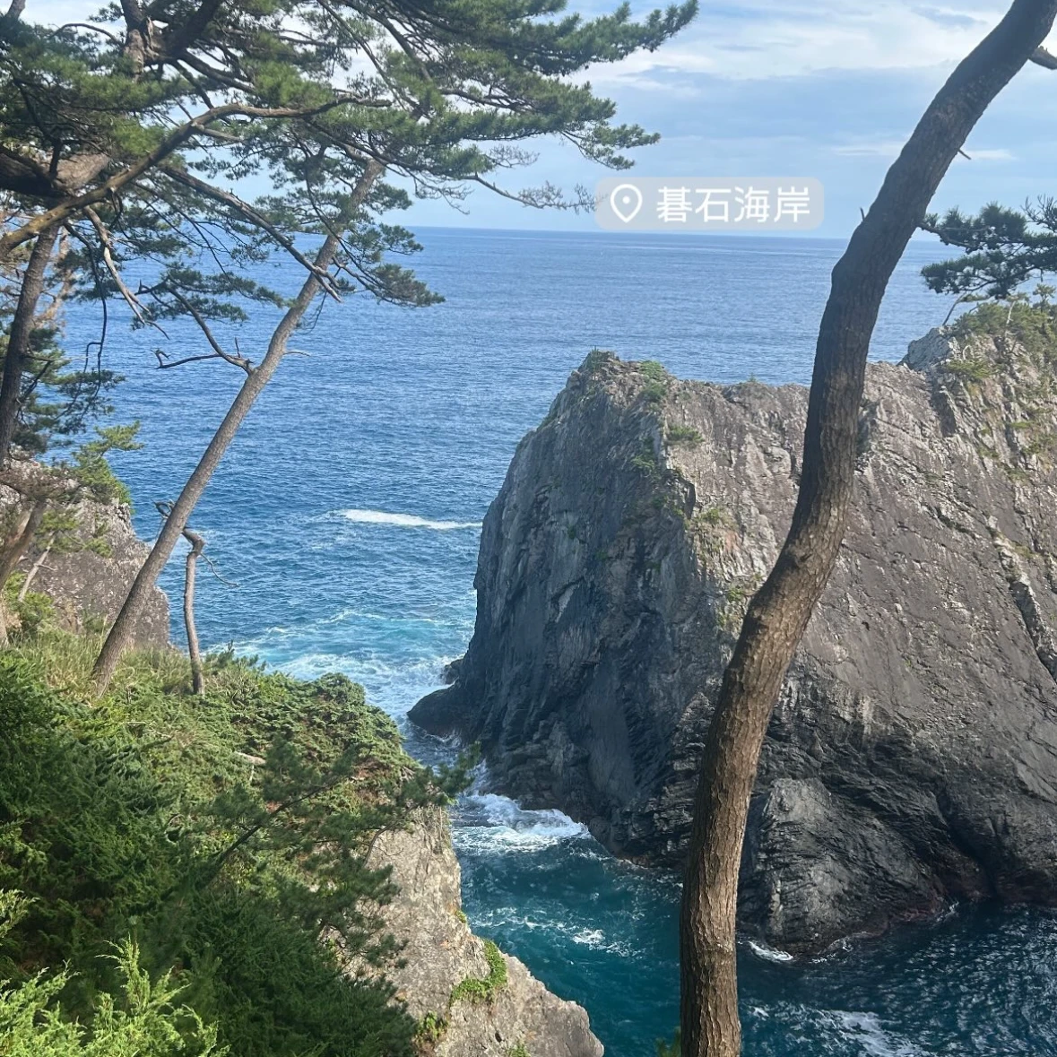 なんでも
