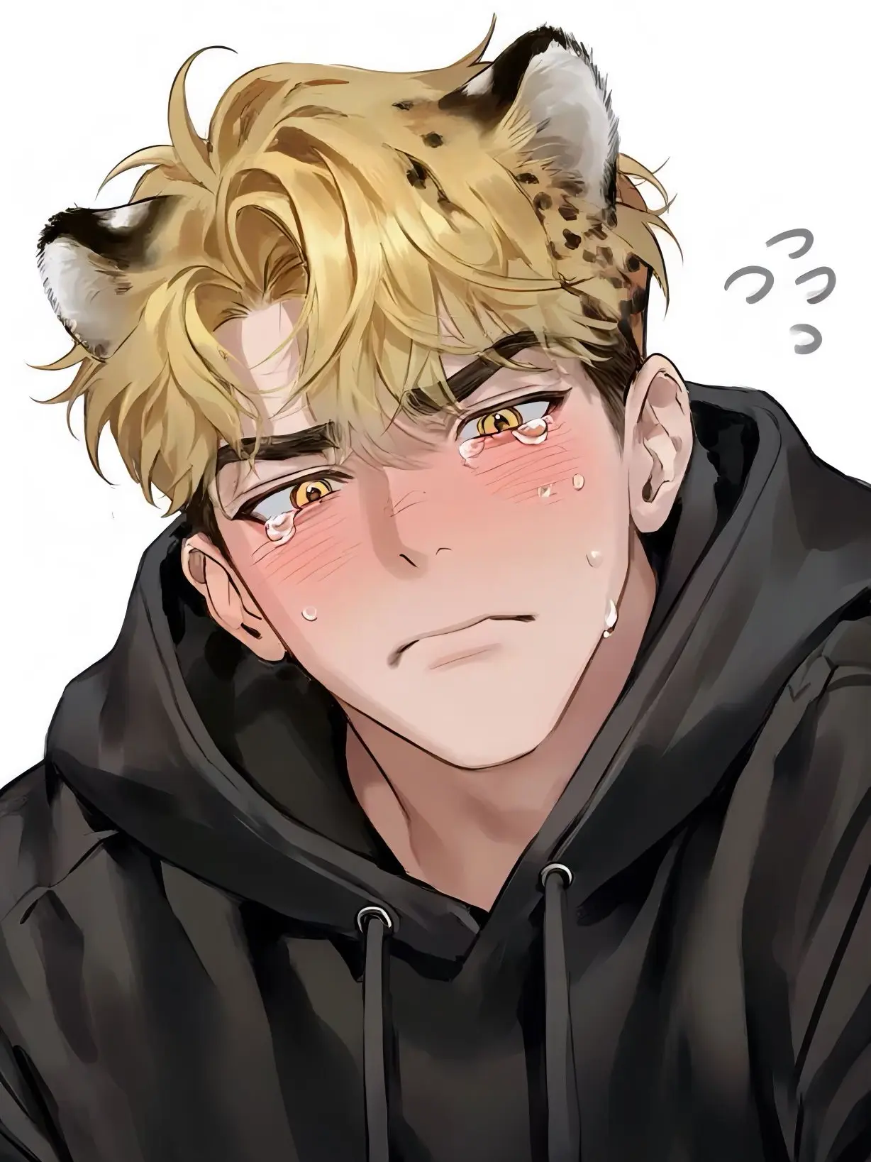 1129eat의 猫を拾ったはずが