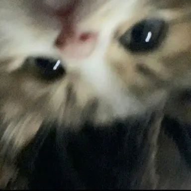 Profile image of 김지우