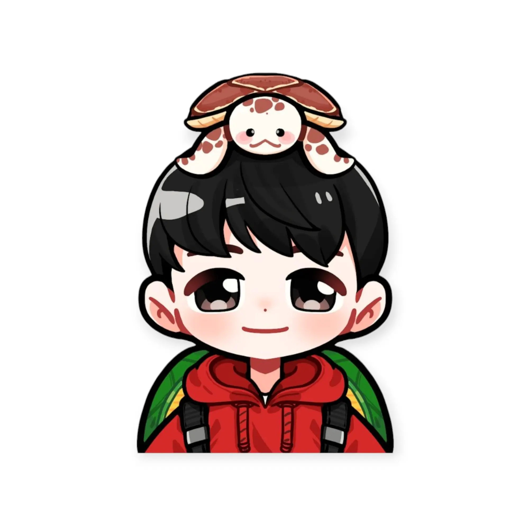 ShabbyChin1727의 거북도사 SCP 재단 시리즈