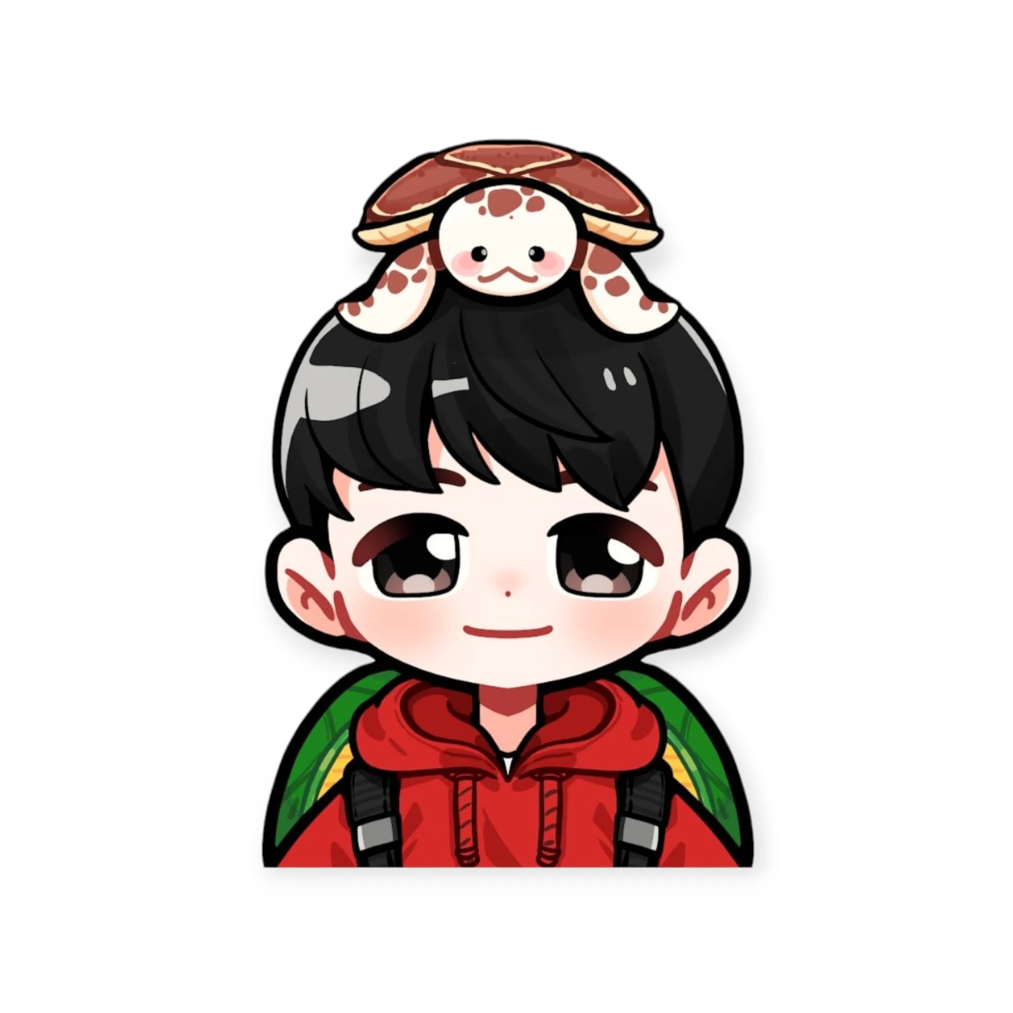 거북도사