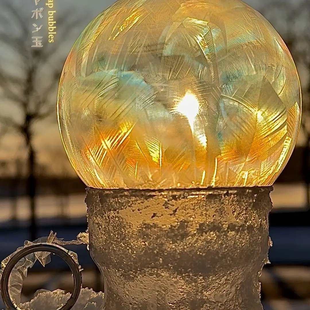 MellowFlea2226의 ㆍ