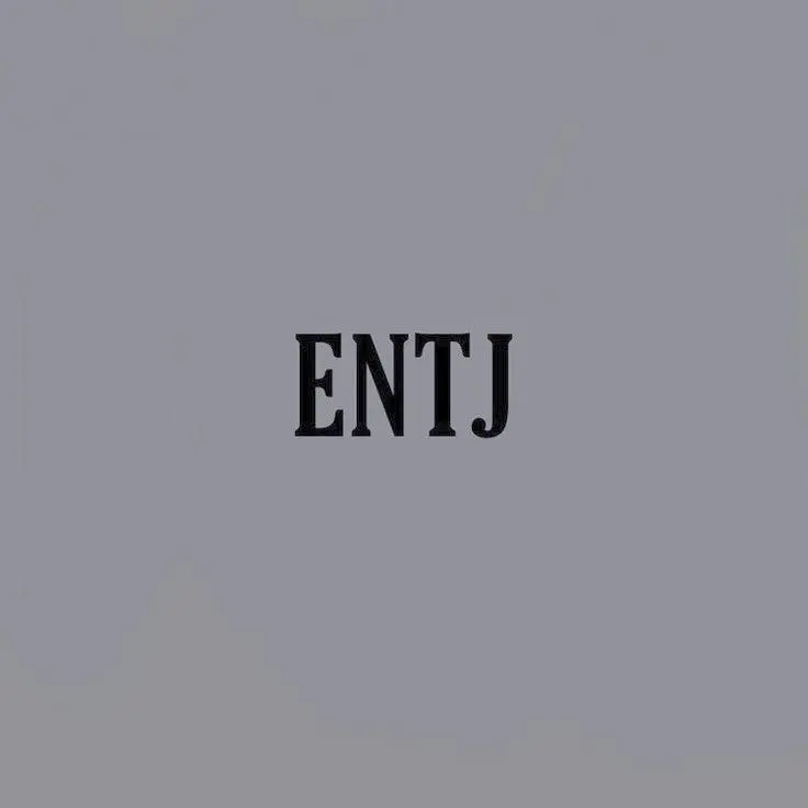 chae098의 ENTJ