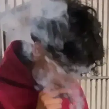Profile image of Vinn