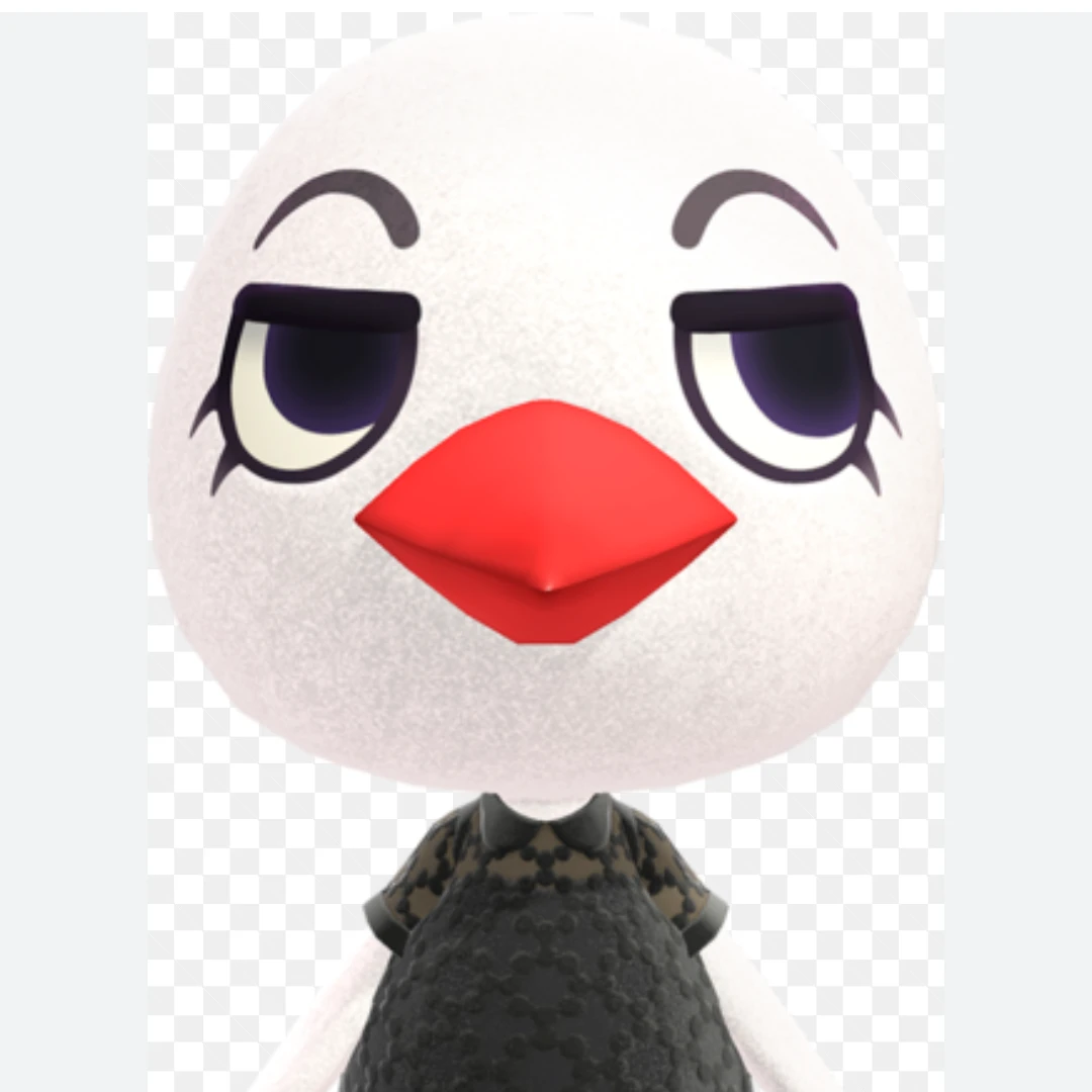 파이프