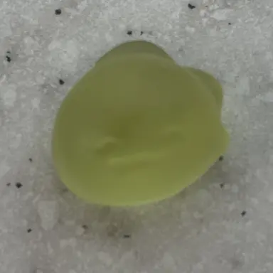 Profile image of 공룡