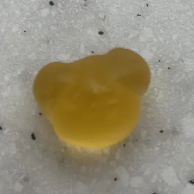 Profile image of 덕개