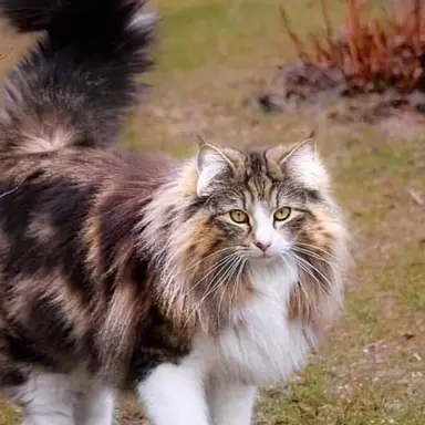 Profile image of 사인