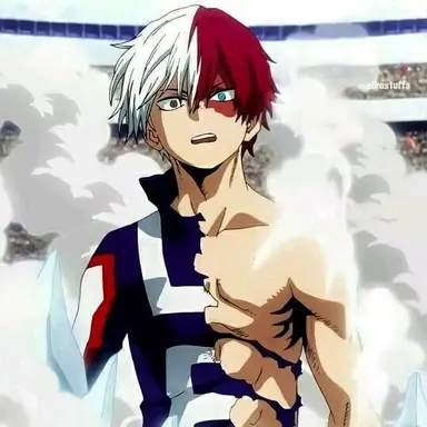 Profile image of Todoroki