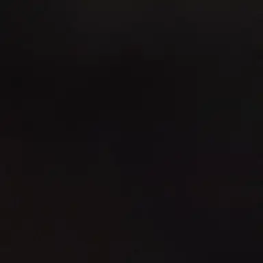 Profile image of 서예림이 되어보자