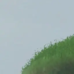 Profile image of 좀비들