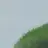 좀비들