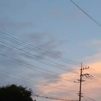 Profile image of 선생님