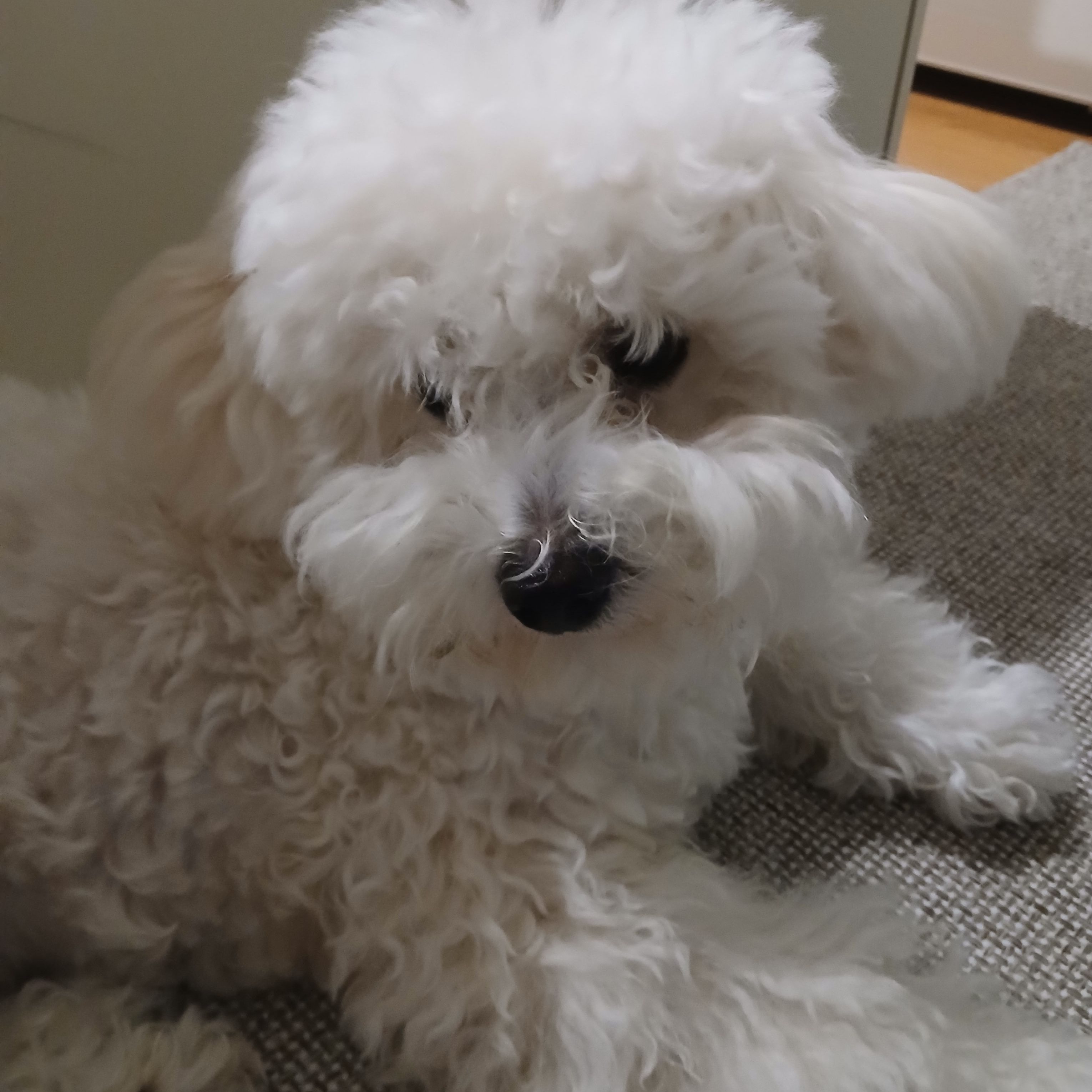 팬아트!!!!!!!!! 대표 이미지